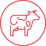 Cattle Feed Icon