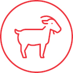 Goat Feed Icon