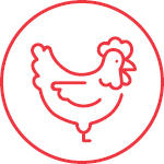 Poultry Feed Icon