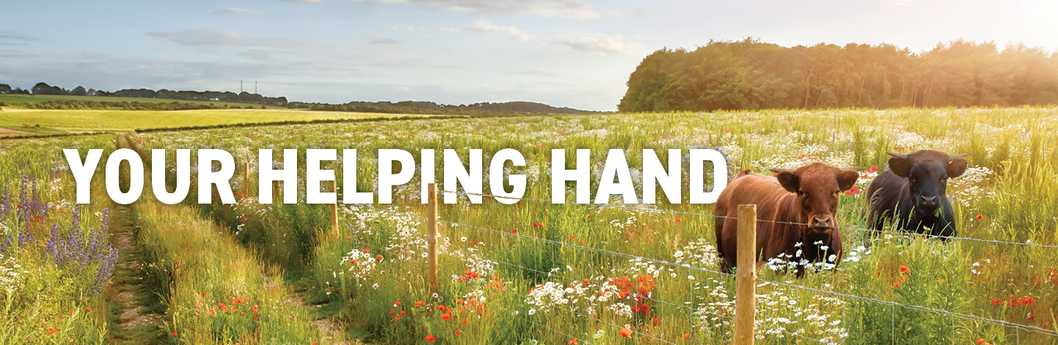 Farm and Ranch Banner