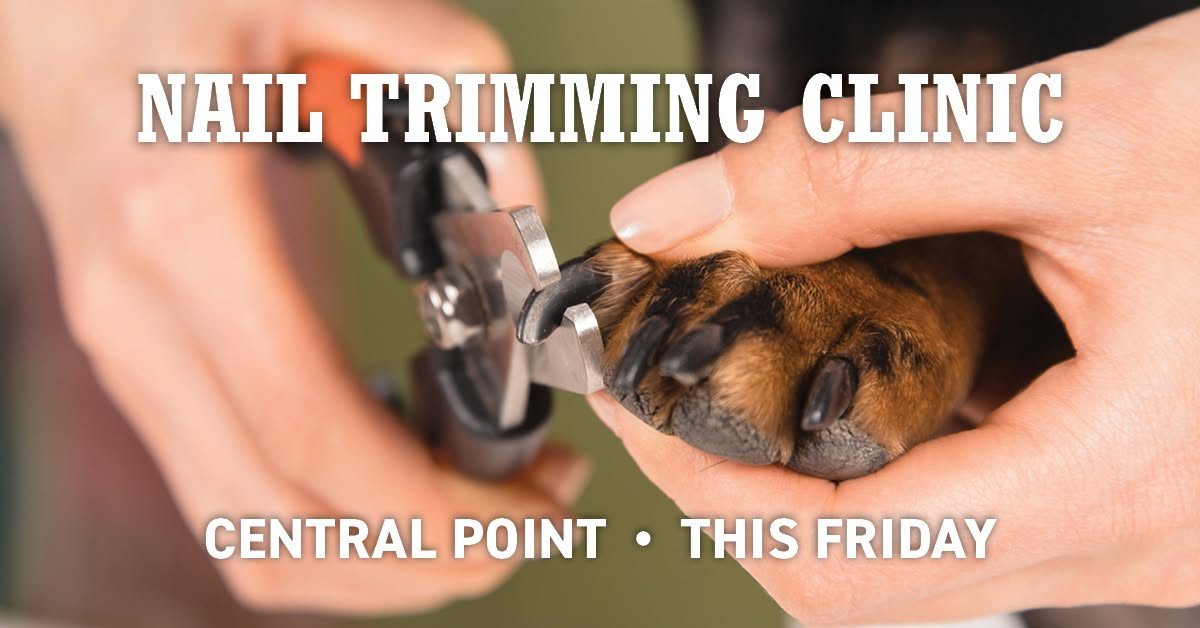 Nail Trimming Clinic