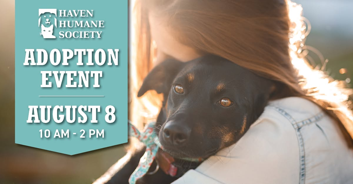Haven Humane Adoption Event