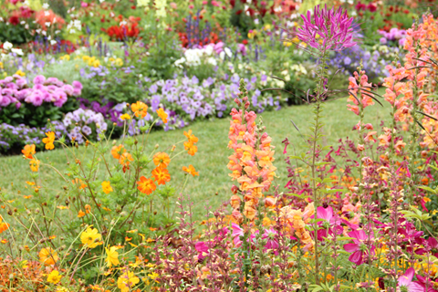 Lawn & Garden articles
