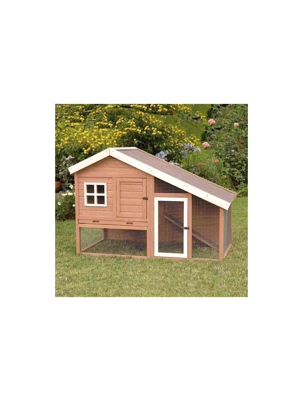 Chicken Coop