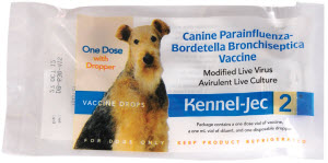 Kennel-Jec-2 nasal immunization for Bordetella