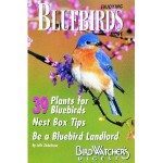 Enjoying Bluebirds More Book