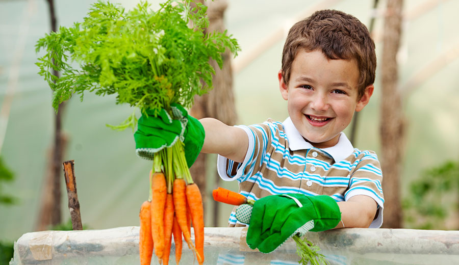Family Gardening - Child Holding Carrots