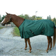 Horse Blanket
