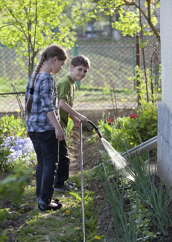 Family Gardening - 2 Kids Watering the Garden.