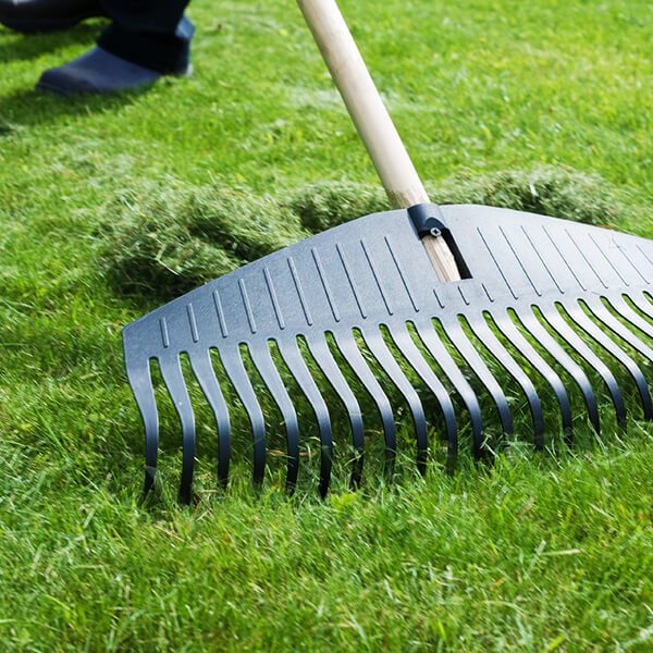 Leaf Rake in Lawn
