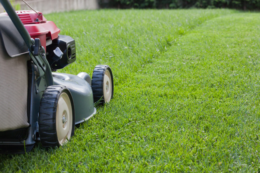 Lawn Care - Mowing the Lawn