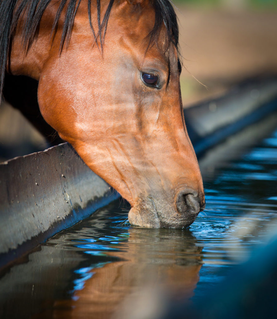 Cold Weather Water Tank Care
